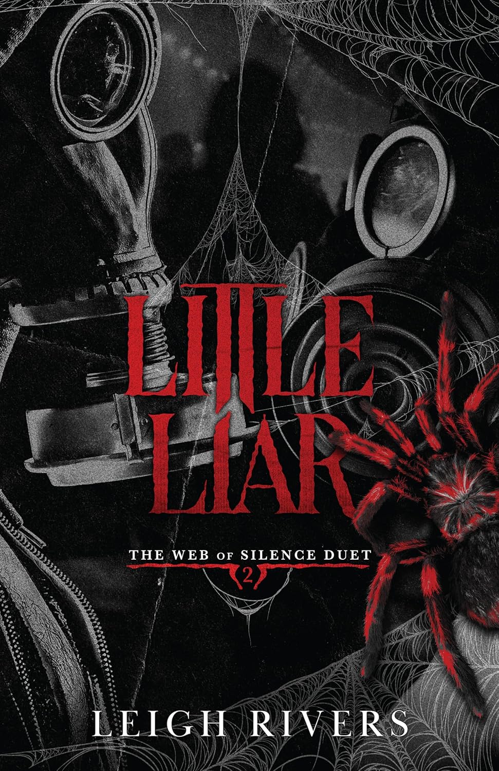 Little Liar (The Web of Silence Duet, #2) by Leigh Rivers