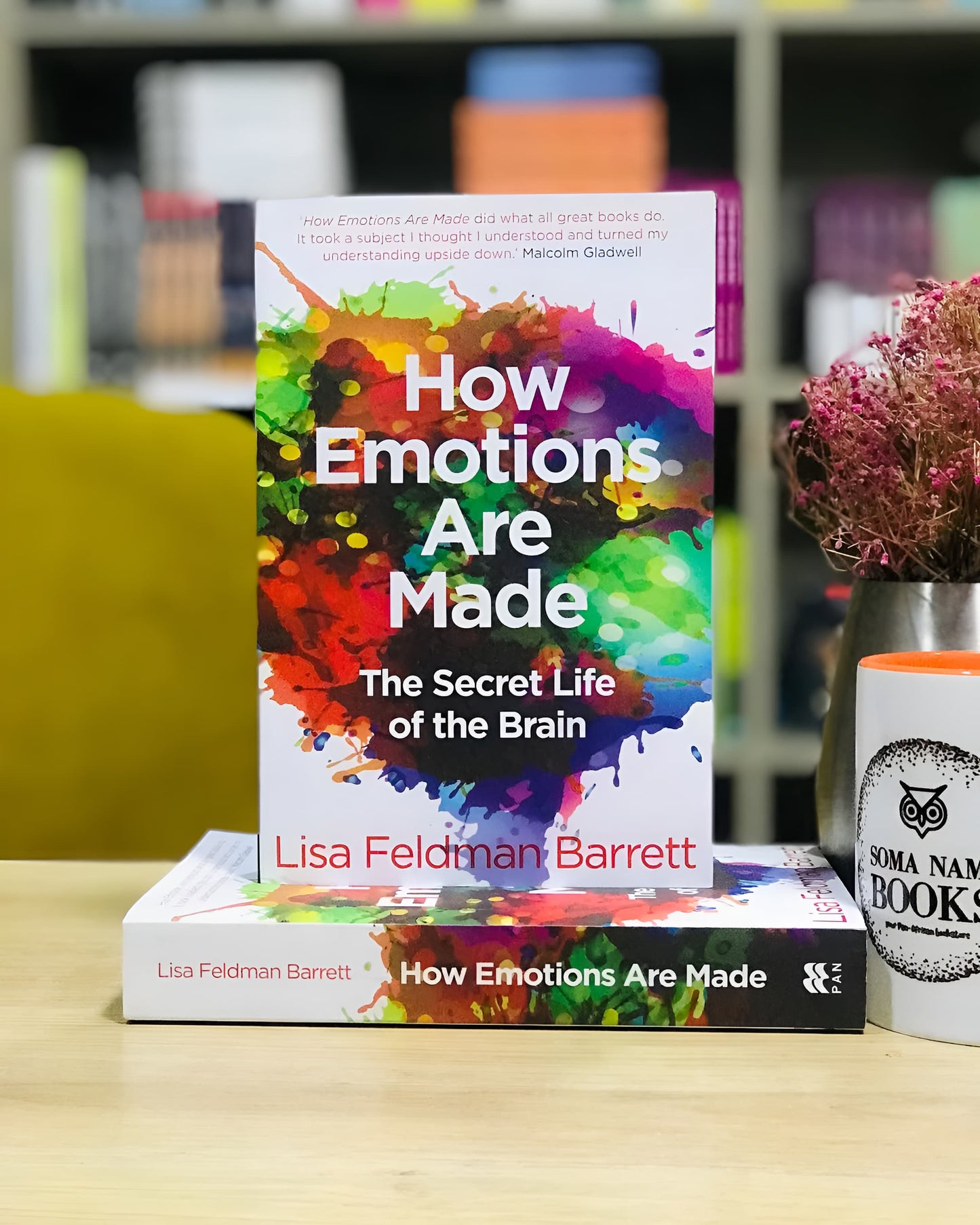How Emotions Are Made: The Secret Life of the Brain Book by Lisa Feldman Barrett Overview