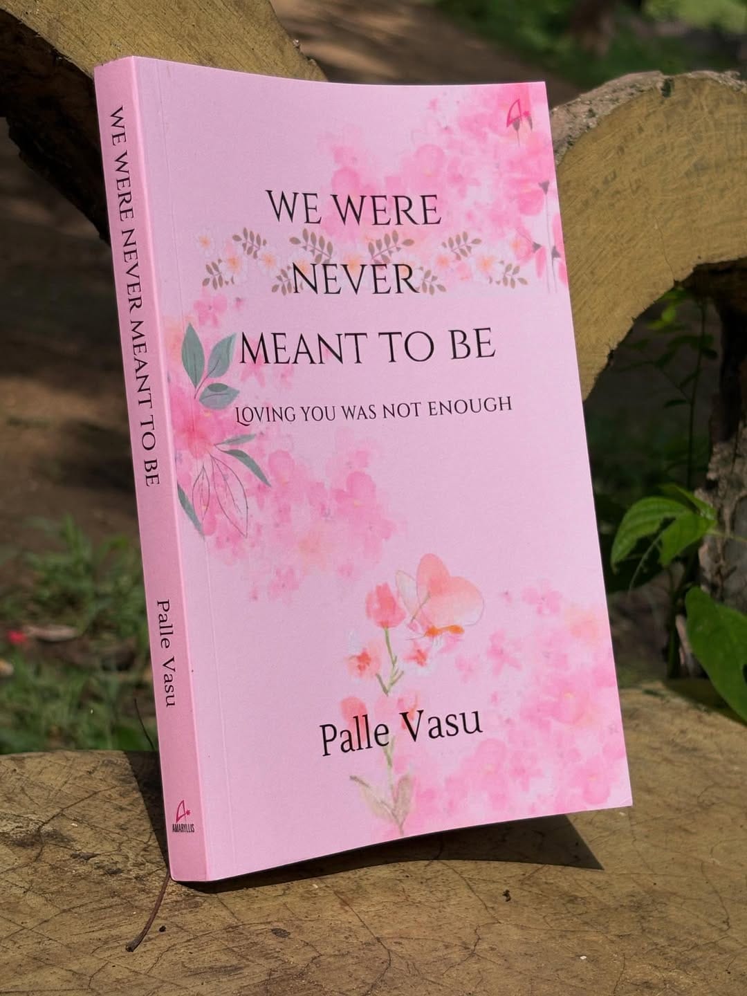 We Were Never Meant To Be By Palle Vasu