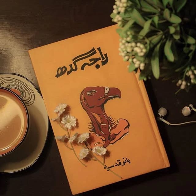 Raja Gidh By Bano Qudsia (Orignal)