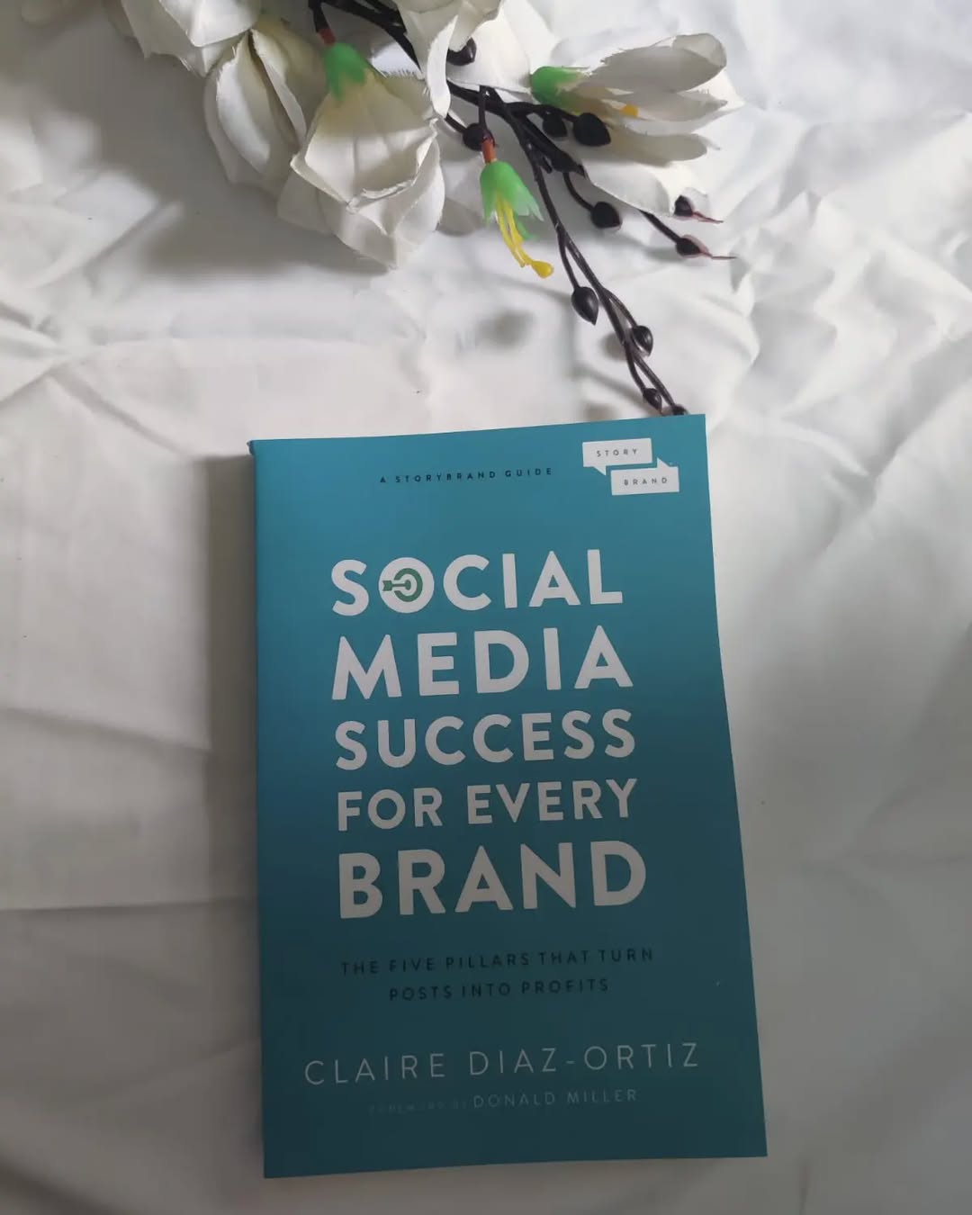 Social Media Success for Every Brand: The Five StoryBrand Pillars That Turn Posts Into Profits