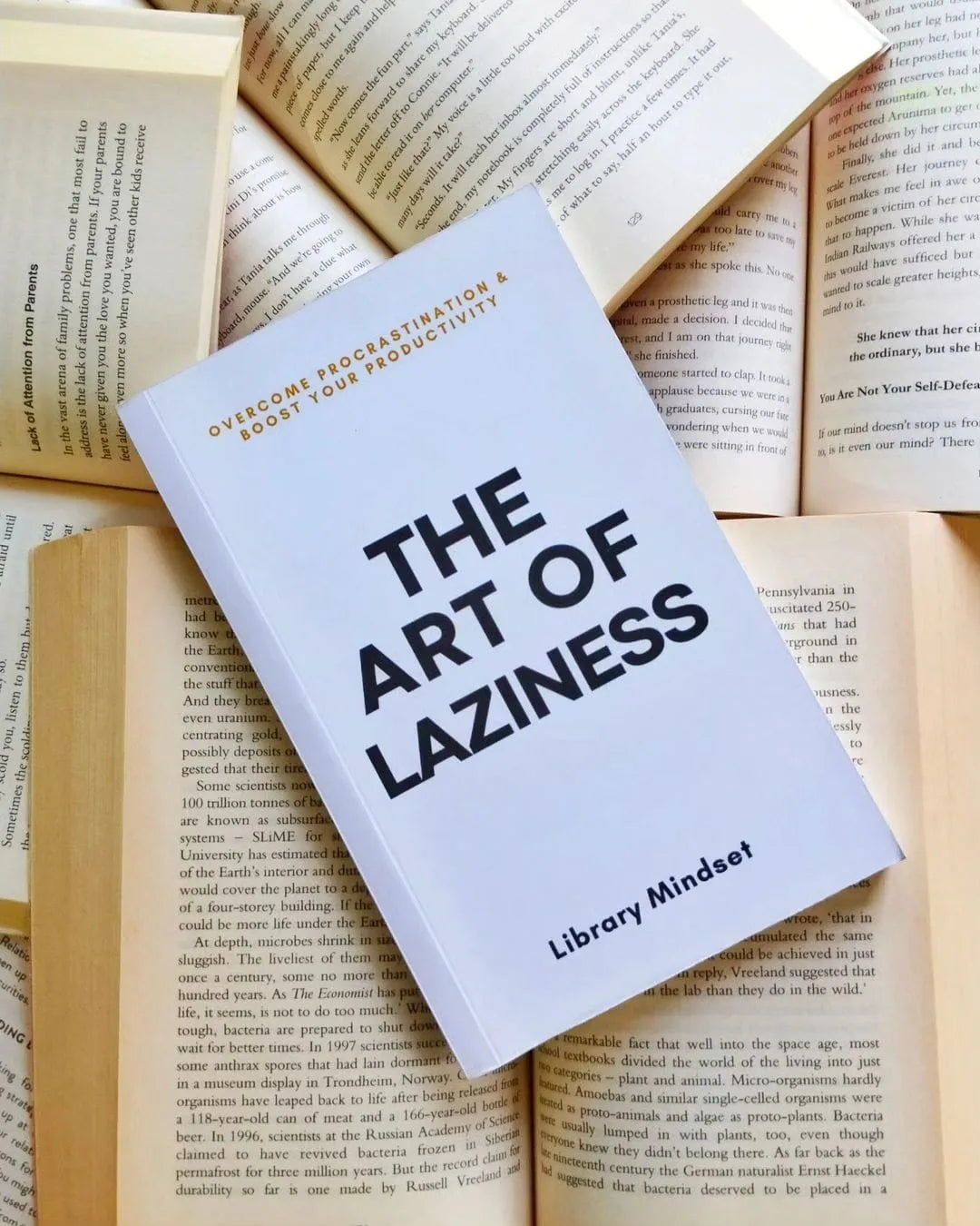 The Art of Laziness