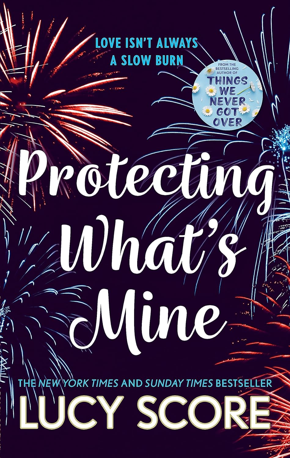 Protecting What's Mine (Benevolence, #3) by Lucy Score