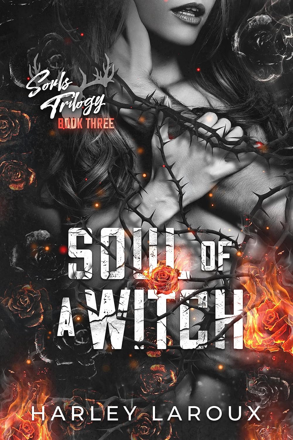 Soul of a Witch (Souls Trilogy, #3) by Harley Laroux
