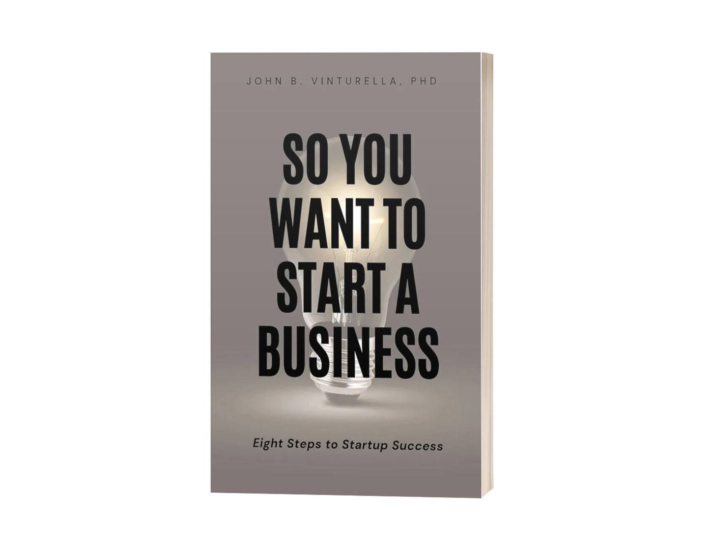 So You Want to Start a Business: Eight Steps to Startup Success Book by John Vinturella